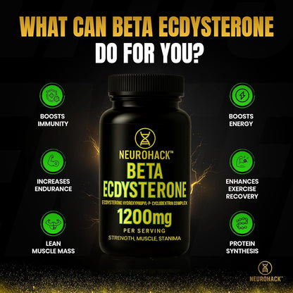 Beta Ecdysterone Supplement 1200mg | 98% Maximum Purity Ecdysterone for Lean Muscle Growth, Strength & Performance | Natural Anabolic Muscle Builder | Vegan | 60 Capsules – 30 Day Supply